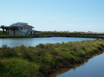 olhao bibliotheek